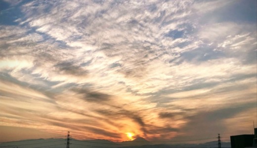 化学物質過敏症完全発症までの1年間を振り返ってみる